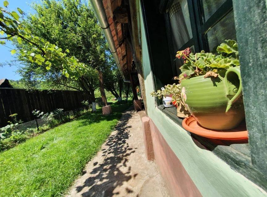 Valchid Guest House Exterior photo